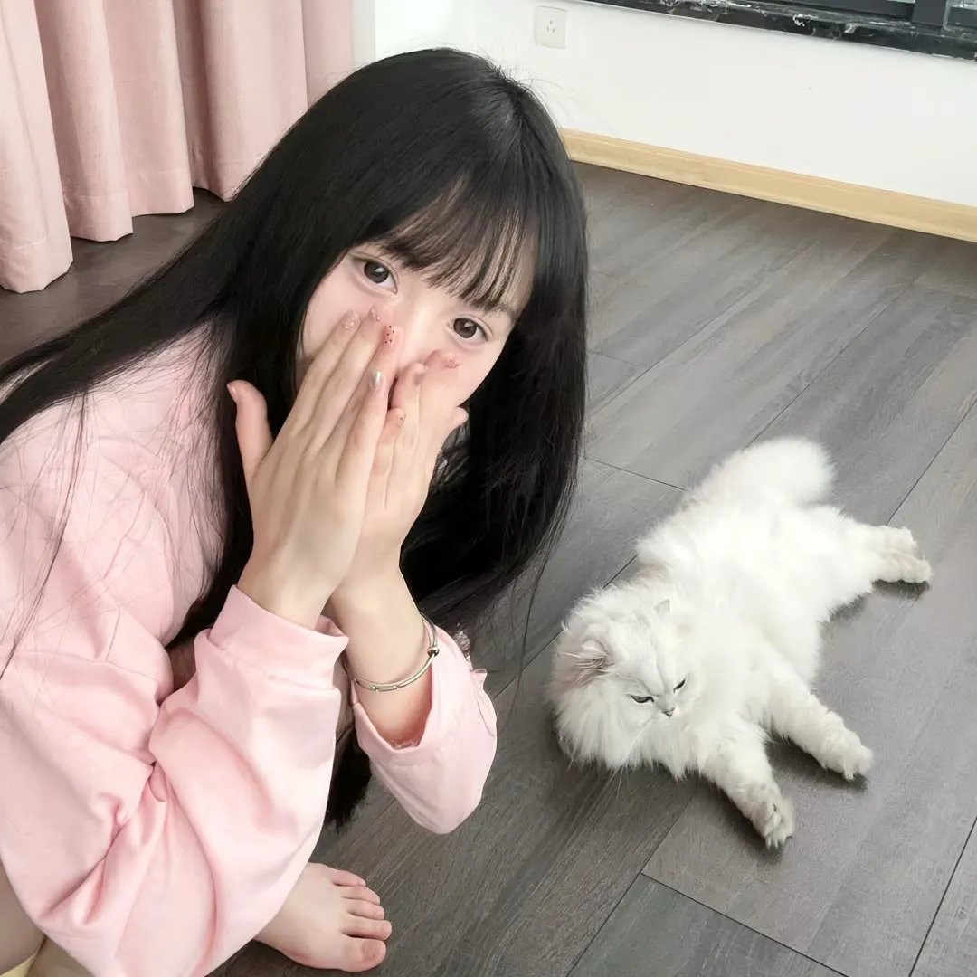 大猫竞技